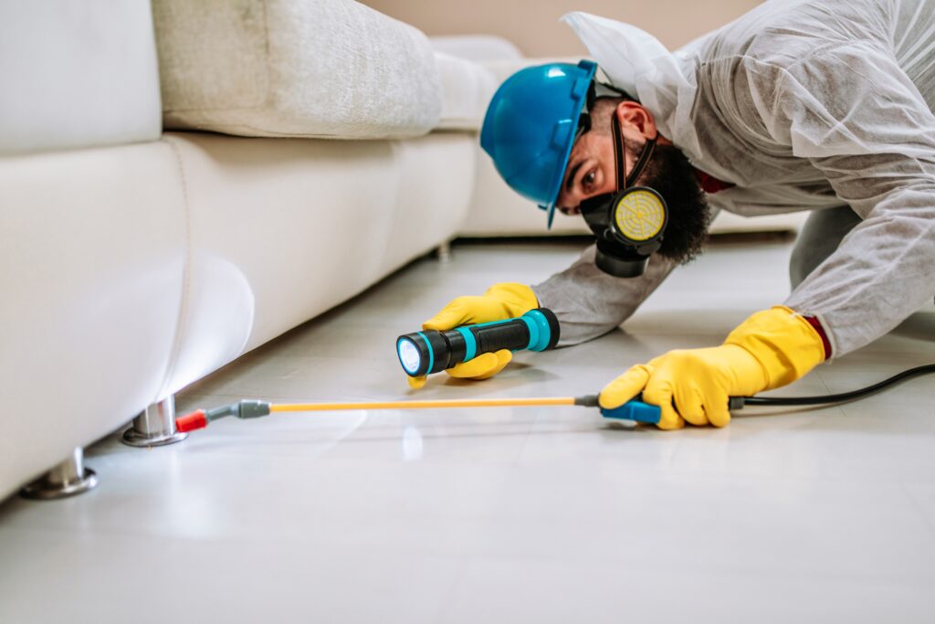 Stanton Termite Control