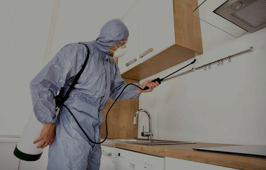 Stanton pest managment
